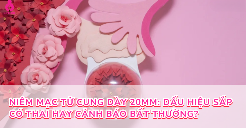 Niêm mạc tử cung dày 20mm: Dấu hiệu sắp có thai hay cảnh báo bất thường?