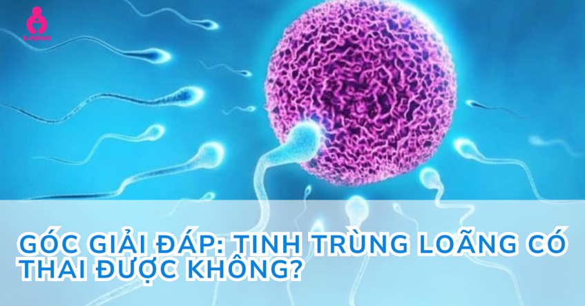 Góc giải đáp: Tinh trùng loãng có thai được không?
