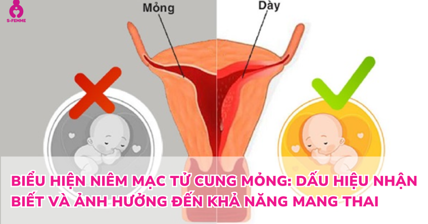 Biểu hiện niêm mạc tử cung mỏng: Dấu hiệu nhận biết và ảnh hưởng đến khả năng mang thai