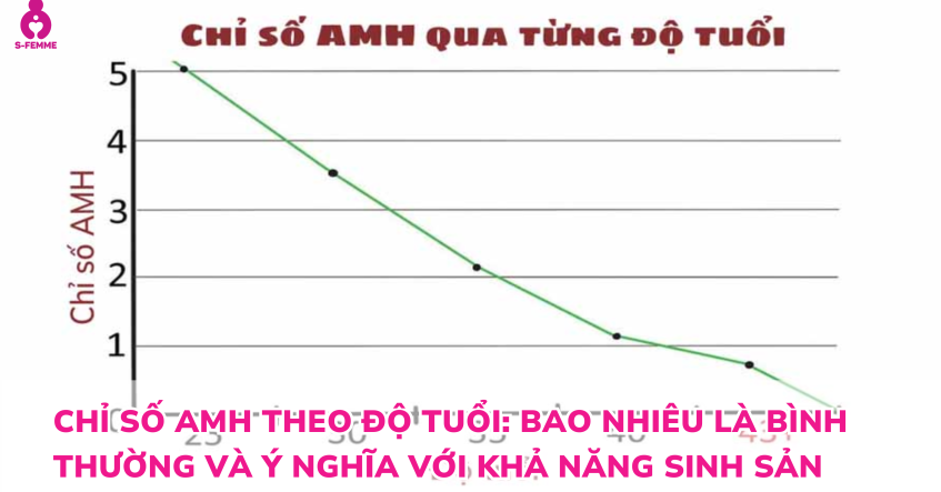 Chỉ số AMH theo độ tuổi: Bao nhiêu là bình thường và ý nghĩa với khả năng sinh sản