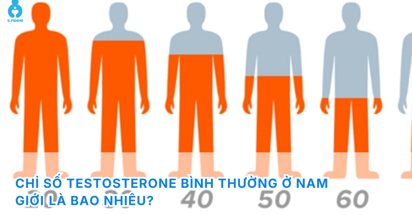 Chỉ số testosterone bình thường ở nam giới​ là bao nhiêu? Cách đọc kết quả và khi nào cần can thiệp