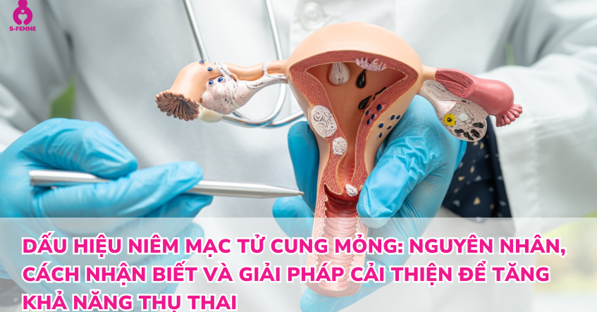 Dấu hiệu niêm mạc tử cung mỏng: Nguyên nhân, cách nhận biết và giải pháp cải thiện để tăng khả năng thụ thai