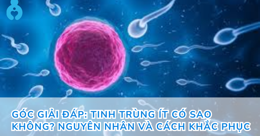 Góc giải đáp: Tinh trùng ít có sao không? Nguyên nhân và cách khắc phục