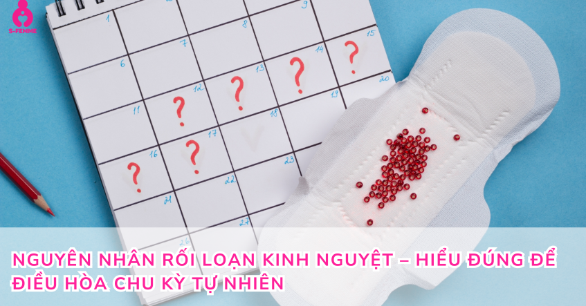 Nguyên nhân rối loạn kinh nguyệt – Hiểu đúng để điều hòa chu kỳ tự nhiên