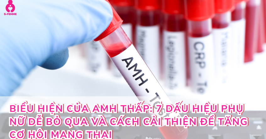 Biểu Hiện Của AMH Thấp: 7 Dấu Hiệu Phụ Nữ Dễ Bỏ Qua Và Cách Cải Thiện Để Tăng Cơ Hội Mang Thai