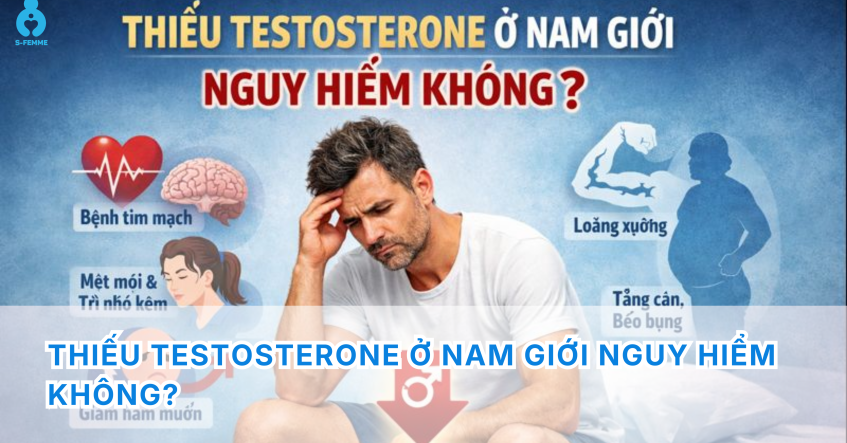 Thiếu testosterone ở nam giới nguy hiểm không? Cảnh báo sức khỏe nhiều người đang bỏ qua