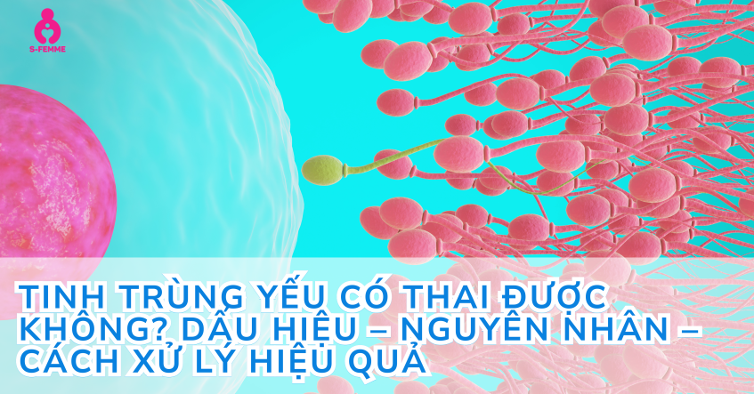 Tinh trùng yếu có thai được không? Dấu hiệu – Nguyên nhân – Cách xử lý hiệu quả