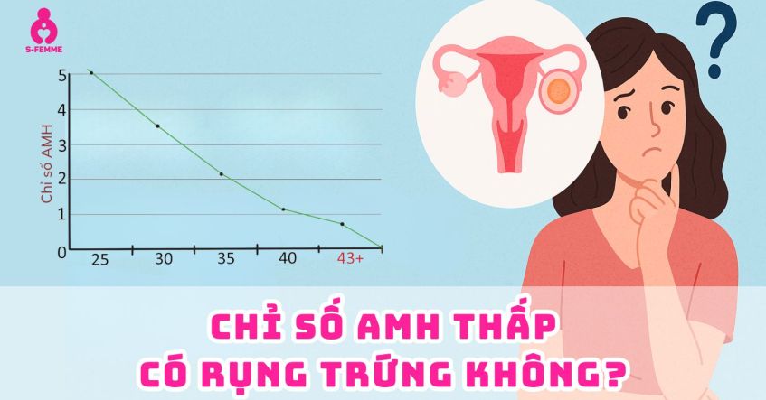 Giải đáp thắc mắc: Amh thấp có rụng trứng không​?