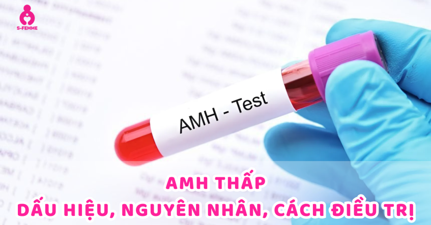 Chỉ số AMH thấp: Nguyên nhân, Cách điều trị - Giải đáp từ chuyên gia