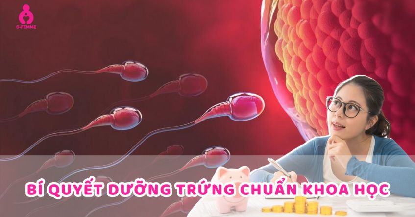 Bí quyết dưỡng trứng chuẩn khoa học - Từ các chuyên gia