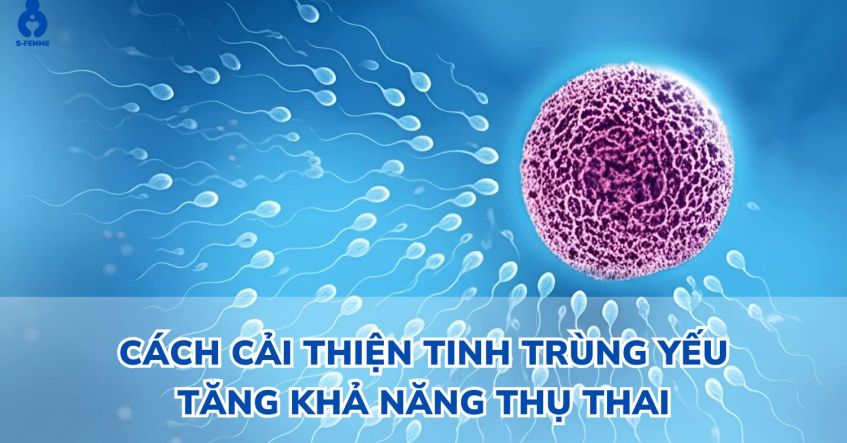 Cách cải thiện tinh trùng yếu - Tăng khả năng thụ thai