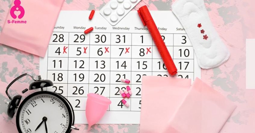 Cách tính chu kỳ kinh nguyệt đơn giản, chính xác