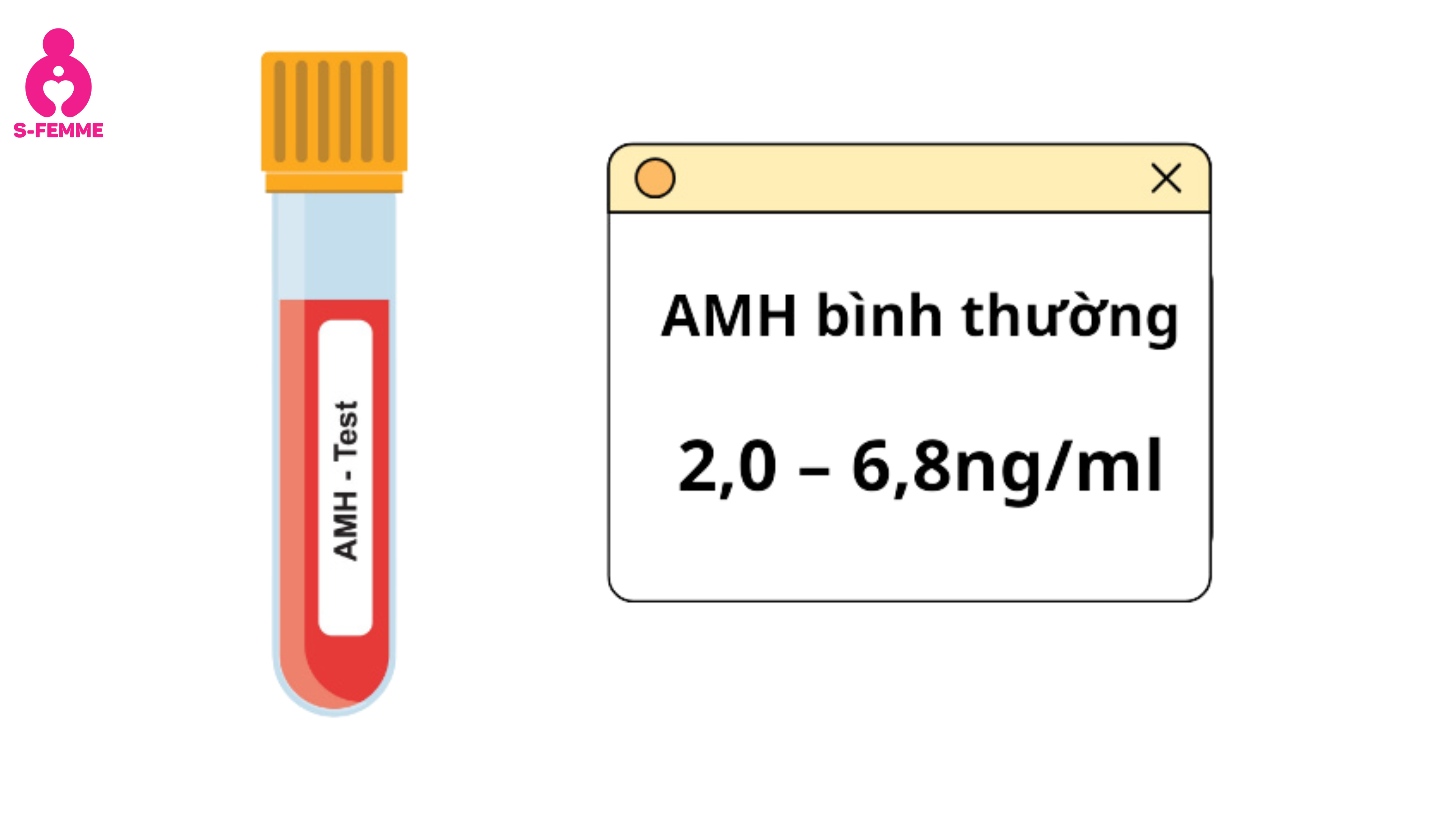 Chỉ số AMH bình thường