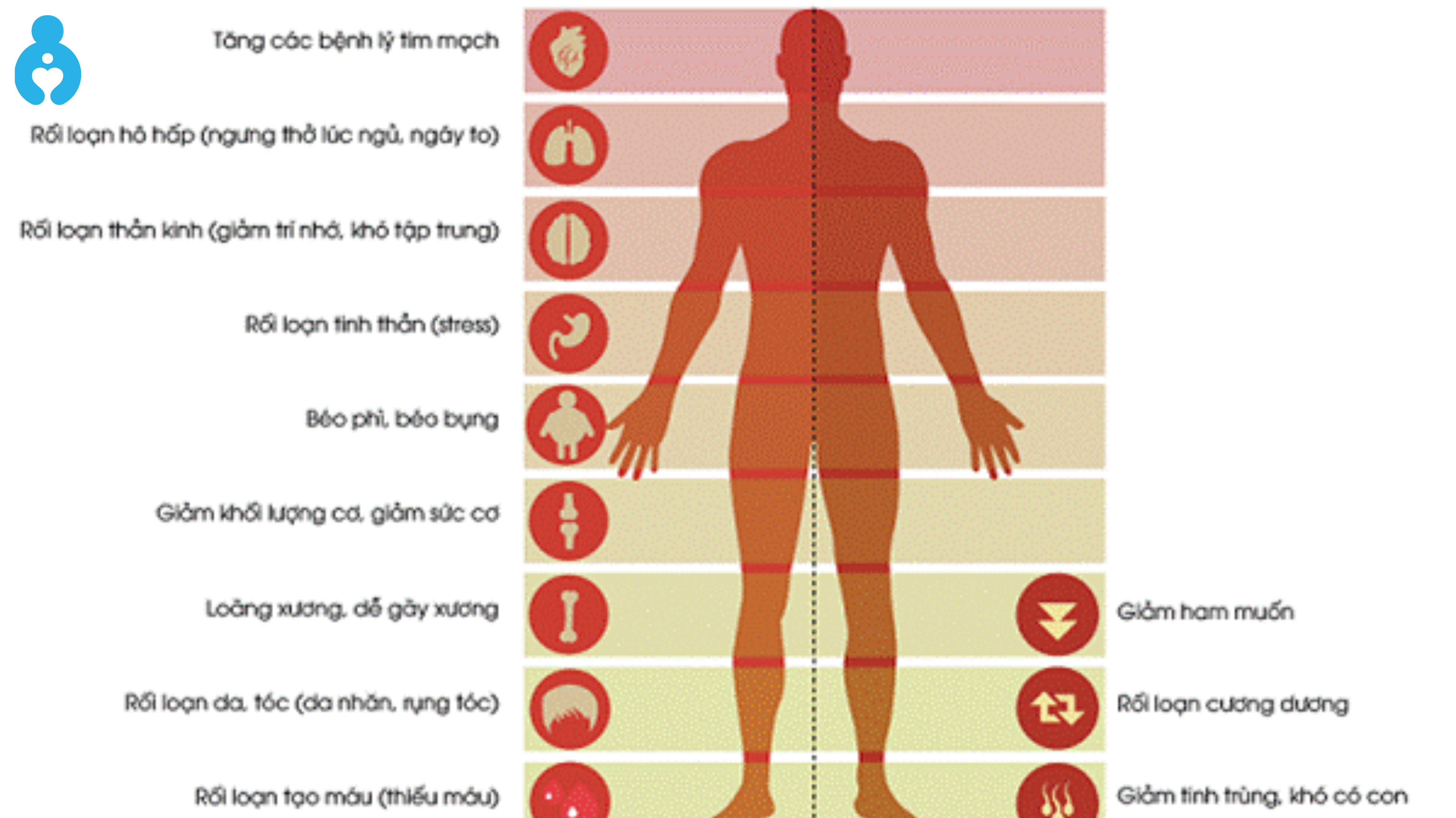 Hậu quả nếu bỏ qua việc duy trì testosterone