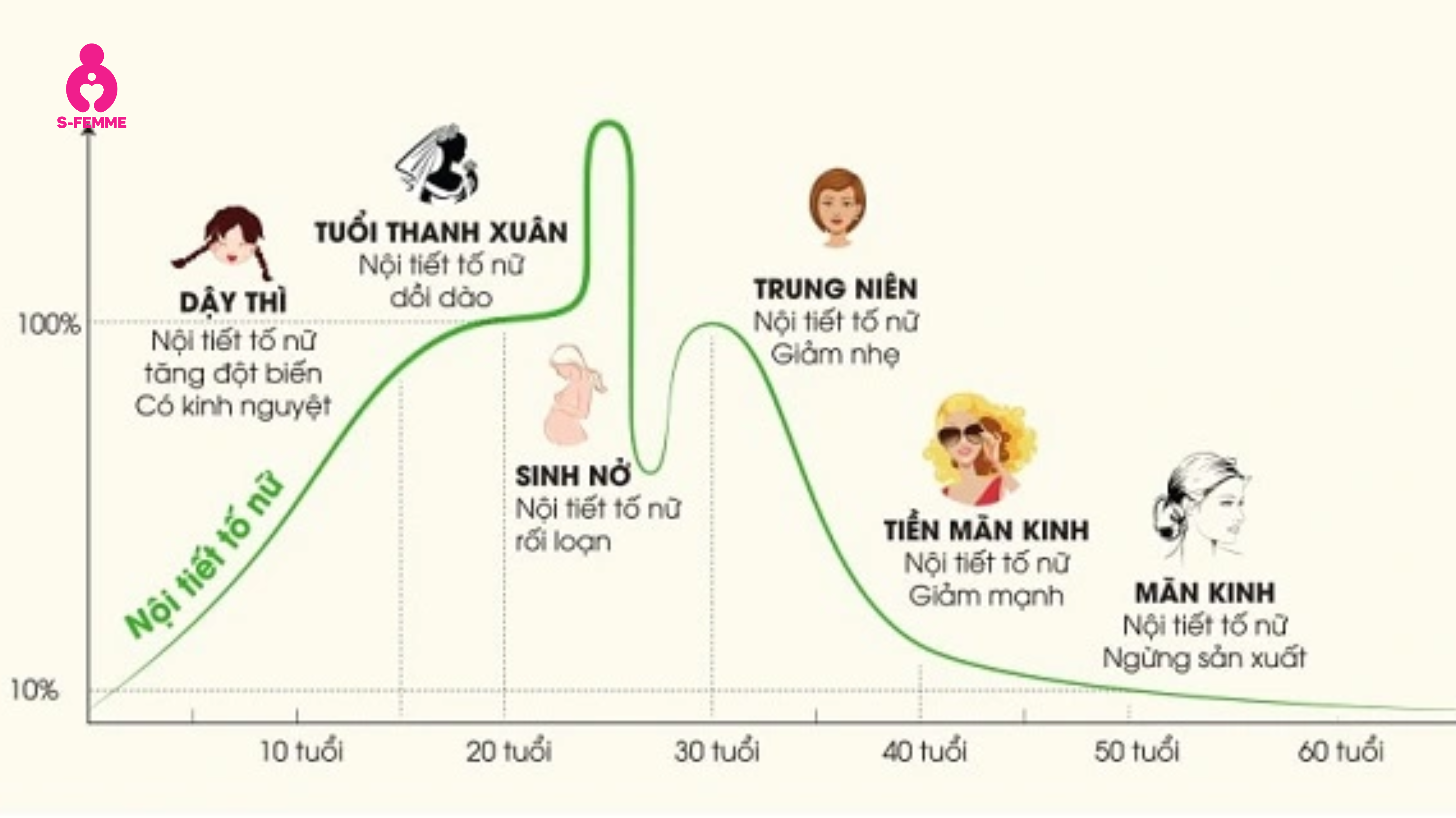 Nội tiết tố nữ là nền tảng của khả năng sinh sản