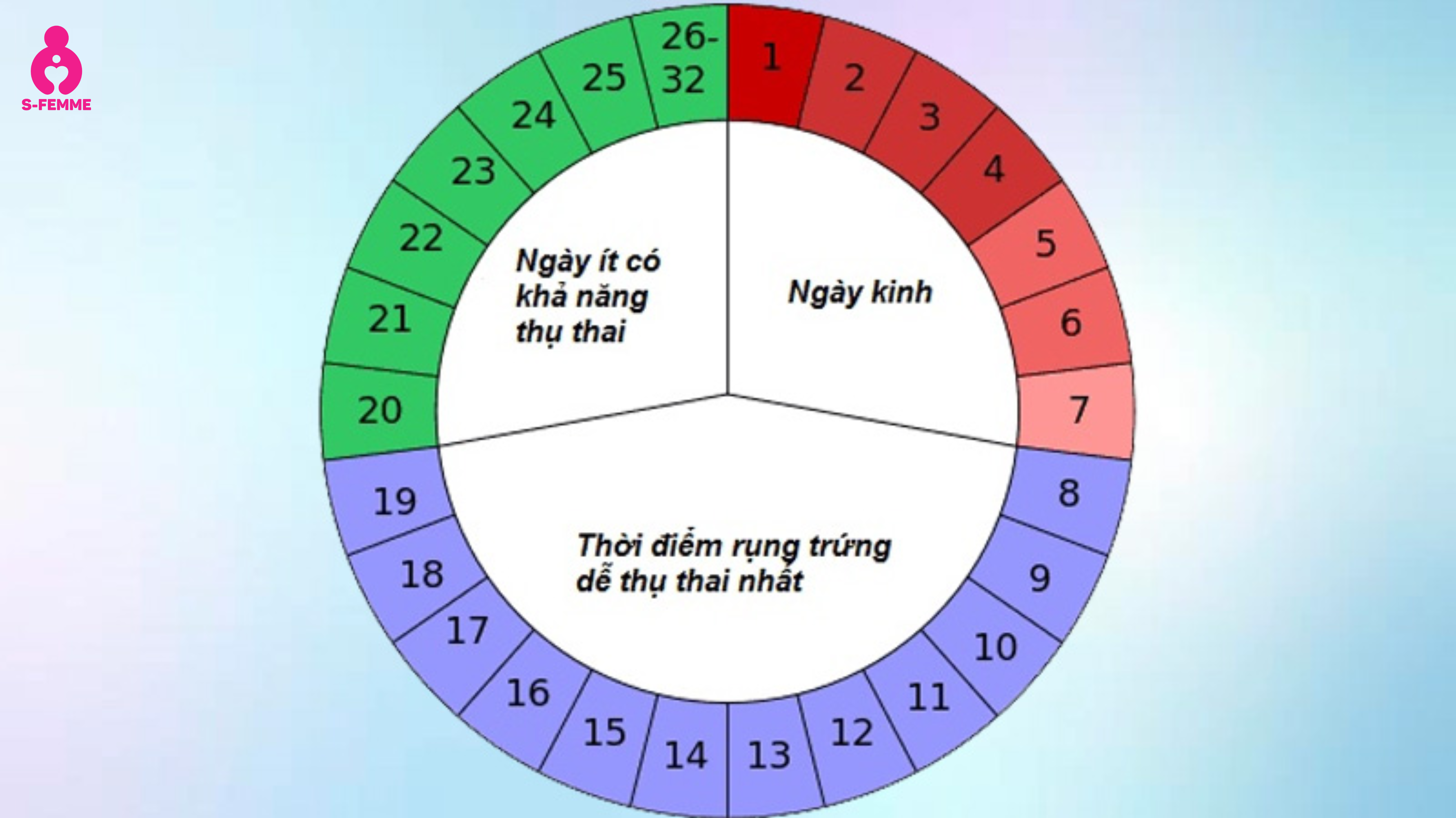 Trứng rụng bao lâu thì quan hệ dễ sinh con trai