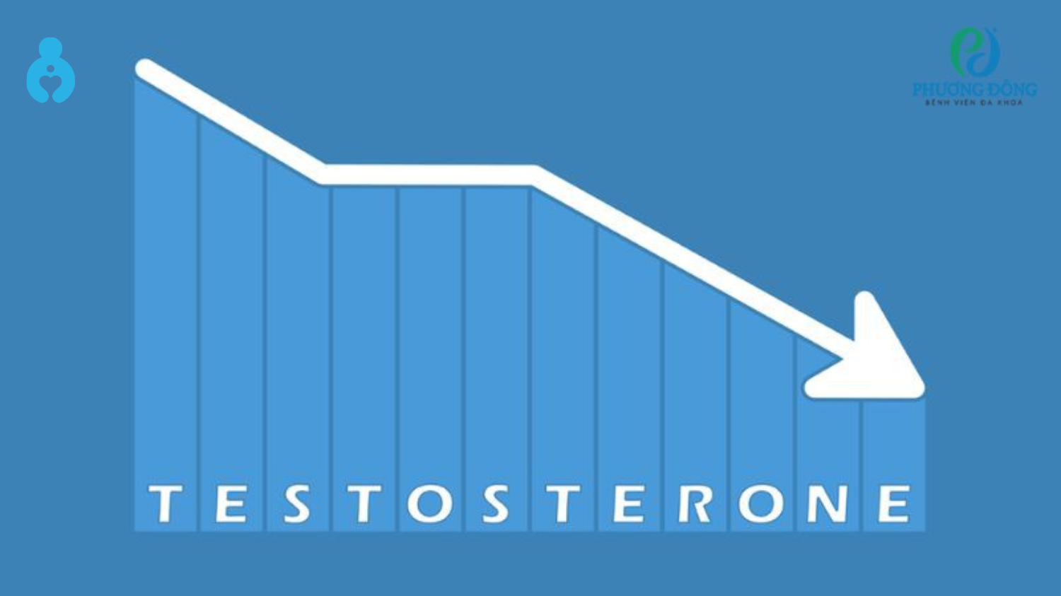 Vì sao sau 35 testosterone giảm nhanh hơn
