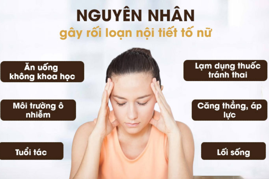 nguyen-nhan-gay-roi-loan-noi-tiet-to-nu-1