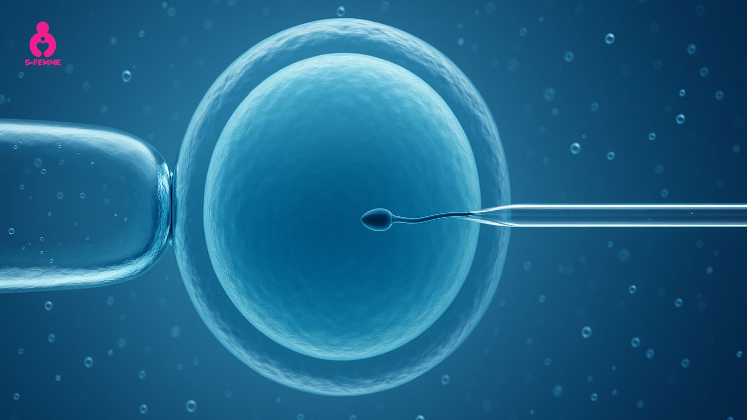 Tác động phụ từ phương pháp IVF có thể gây tổn thương niêm mạc