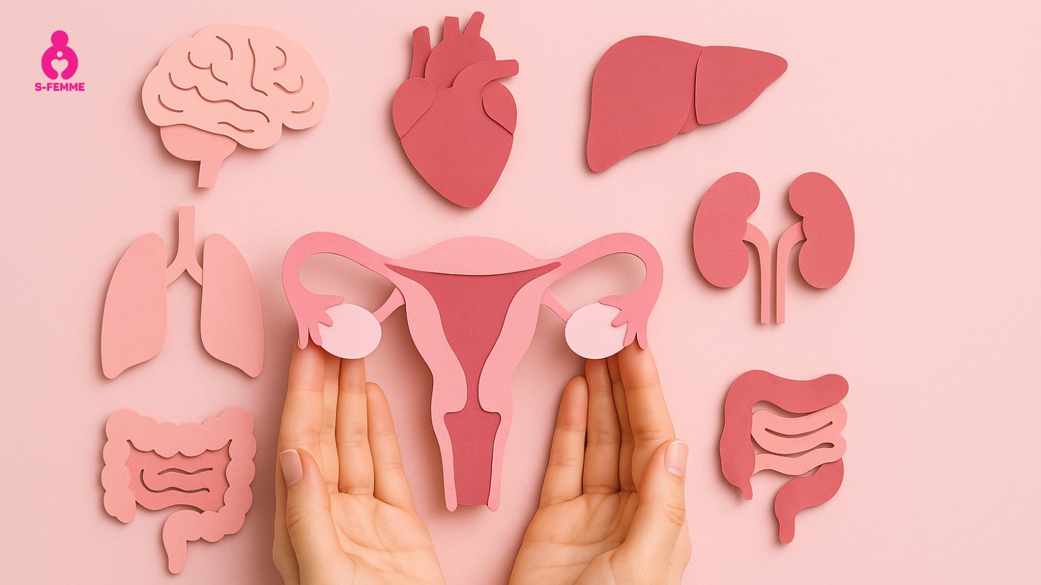 Trước khi làm IVF buồng trứng đa nang phụ nữ cần cân bằng nội tiết