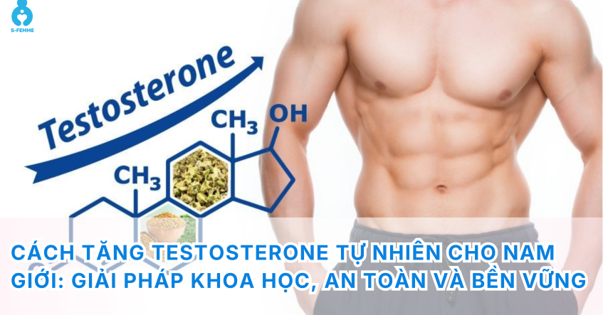 Cách tăng testosterone tự nhiên cho nam giới: Giải pháp khoa học, an toàn và bền vững