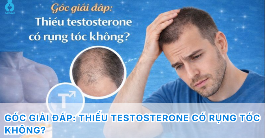 Góc giải đáp: Thiếu testosterone có rụng tóc không?