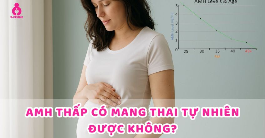 Giải đáp: Phụ nữ AMH thấp có mang thai tự nhiên được không?