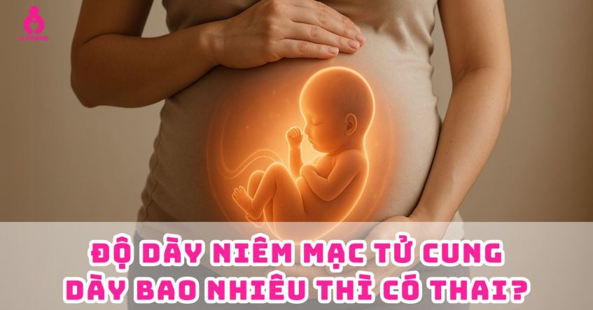 Thắc mắc: Độ dày niêm mạc tử cung dày bao nhiêu thì có thai​?