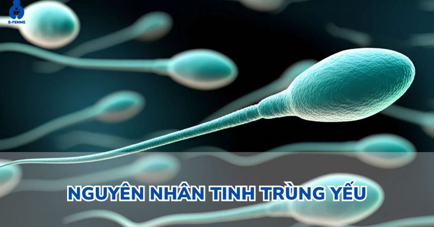 Nguyên nhân tinh trùng yếu ở nam giới​ - Gây khó thụ thai